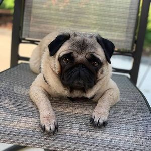 Meet your Posher, Kassie